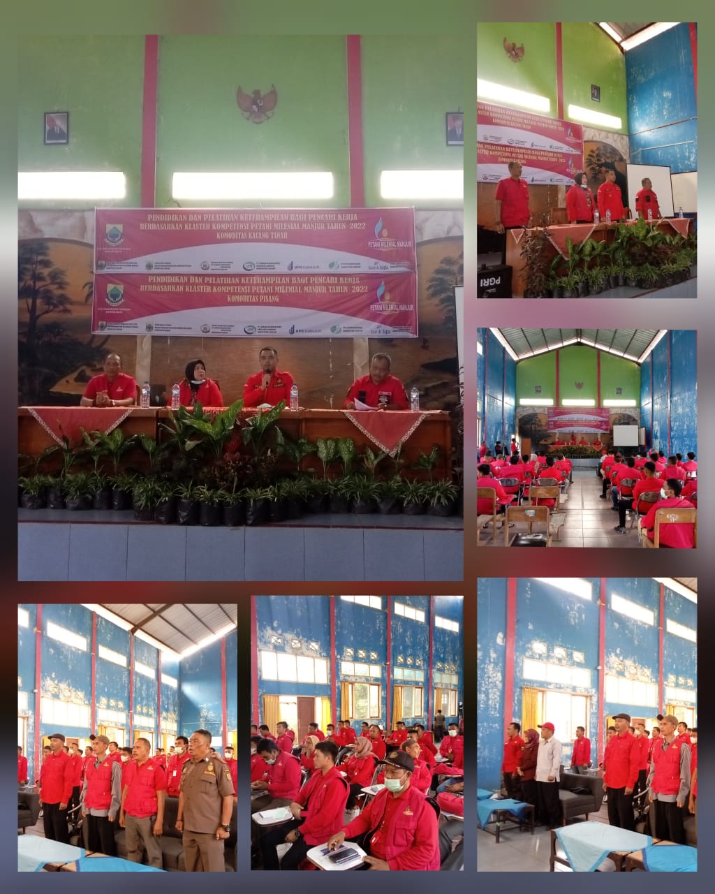 Standard Post with Gallery